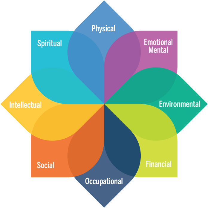 The model of wellbeing graphic, resembling a flower with 8 petals, the dimensions of well being are described below